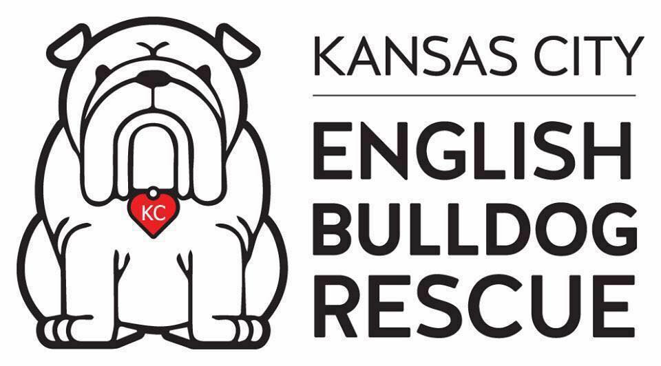 Support Kansas City English Bulldog Rescue