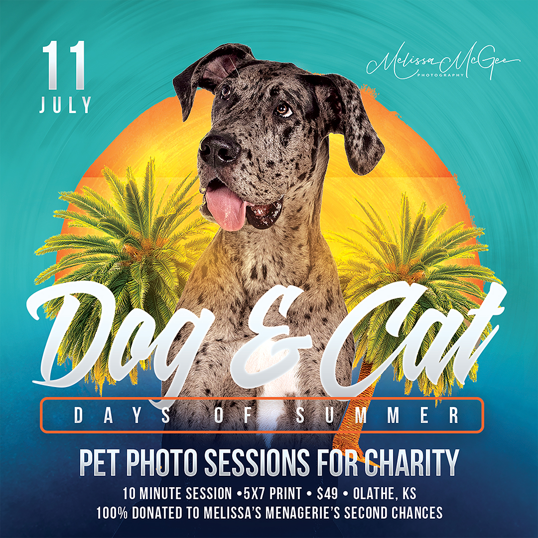 Dog-Days-of-Summer-Kansas-City-2020